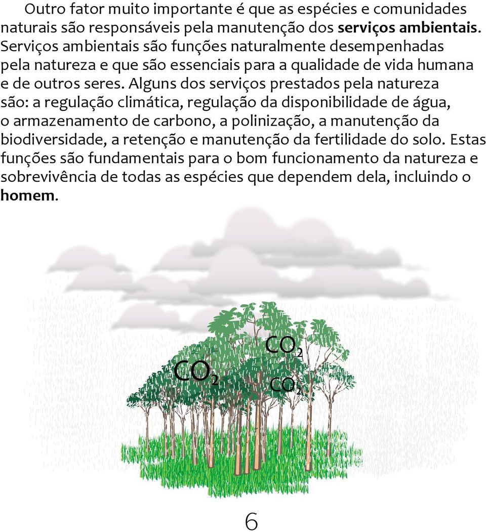 Alguns dos serviços prestados pela natureza são: a regulação climática, regulação da disponibilidade de água, o armazenamento de carbono, a polinização, a manutenção