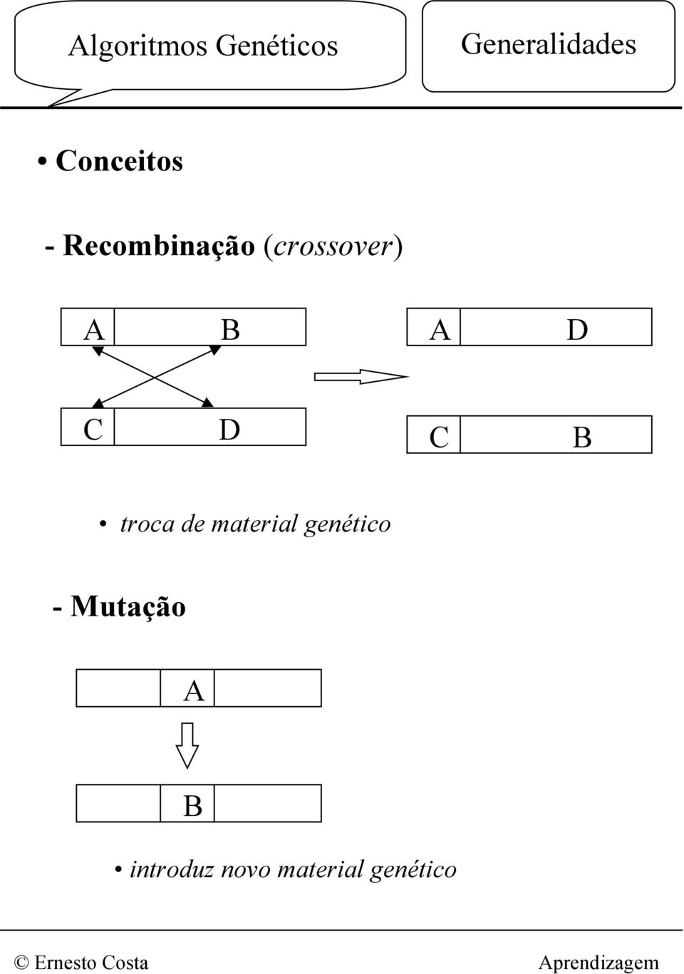 D C B troca de material genético -