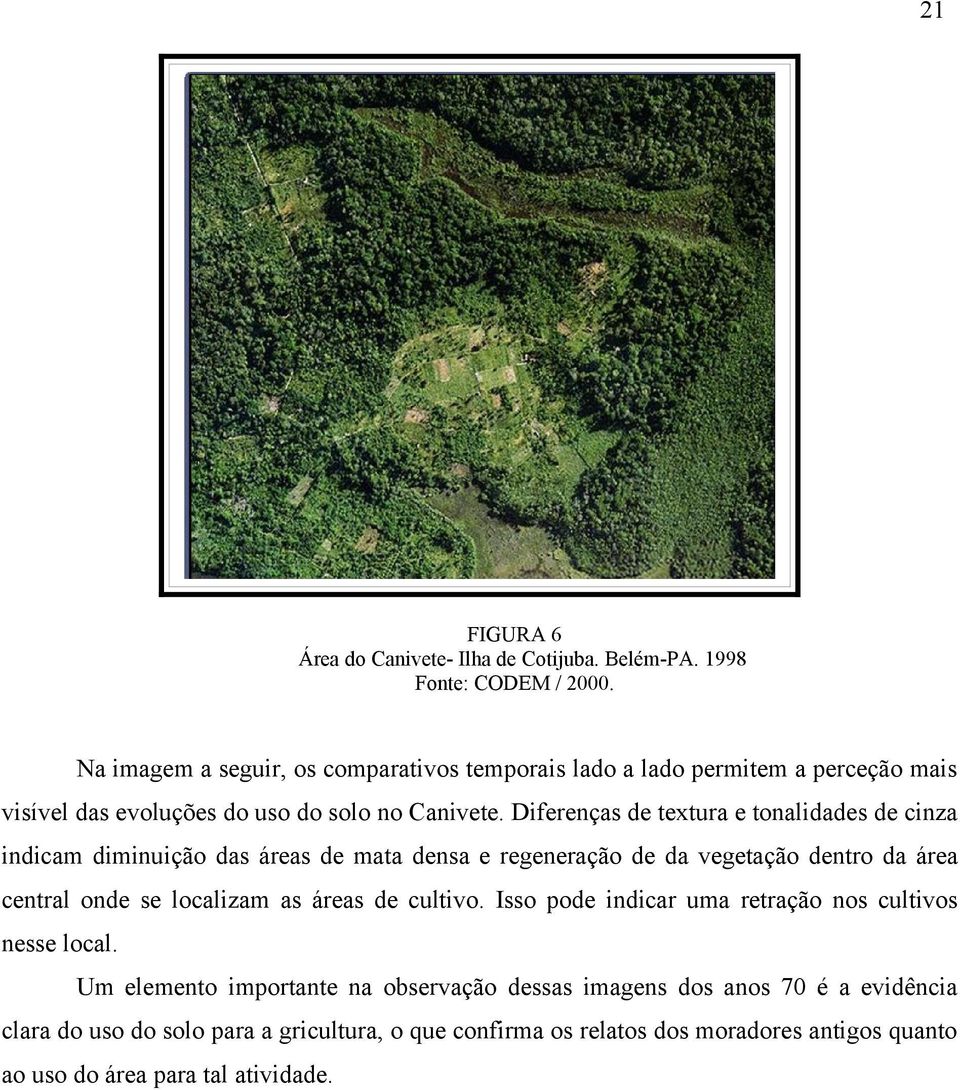 Diferenças de textura e tonalidades de cinza indicam diminuição das áreas de mata densa e regeneração de da vegetação dentro da área central onde se localizam