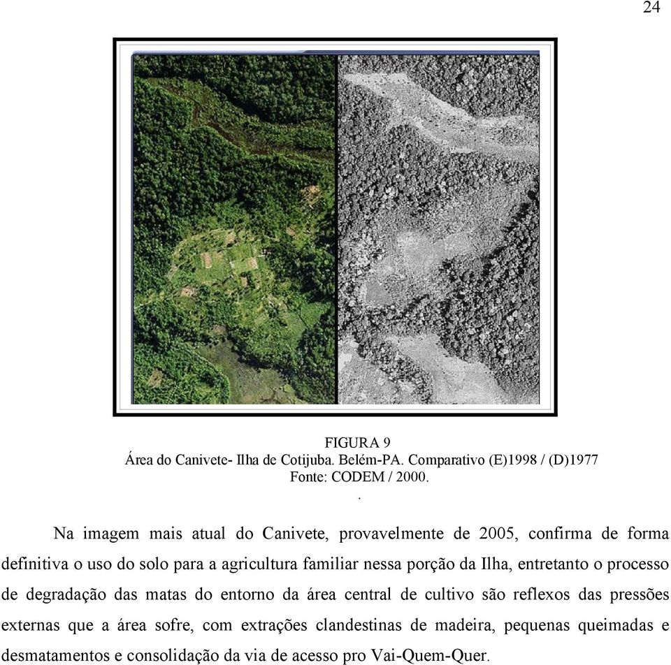 familiar nessa porção da Ilha, entretanto o processo de degradação das matas do entorno da área central de cultivo são