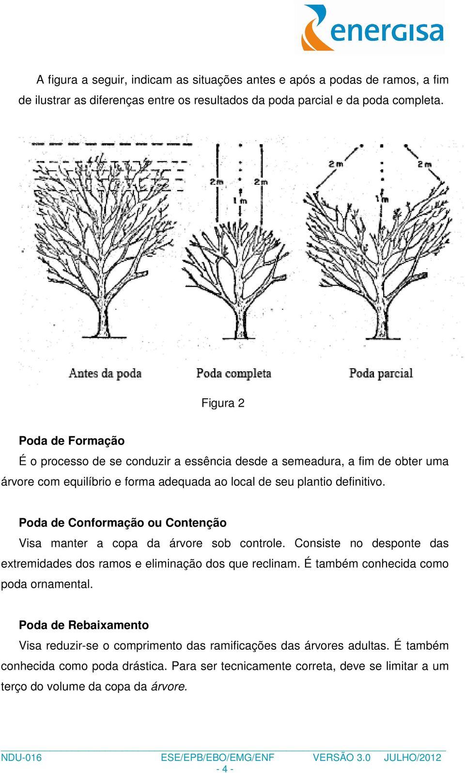 Poda de Conformação ou Contenção Visa manter a copa da árvore sob controle. Consiste no desponte das extremidades dos ramos e eliminação dos que reclinam.