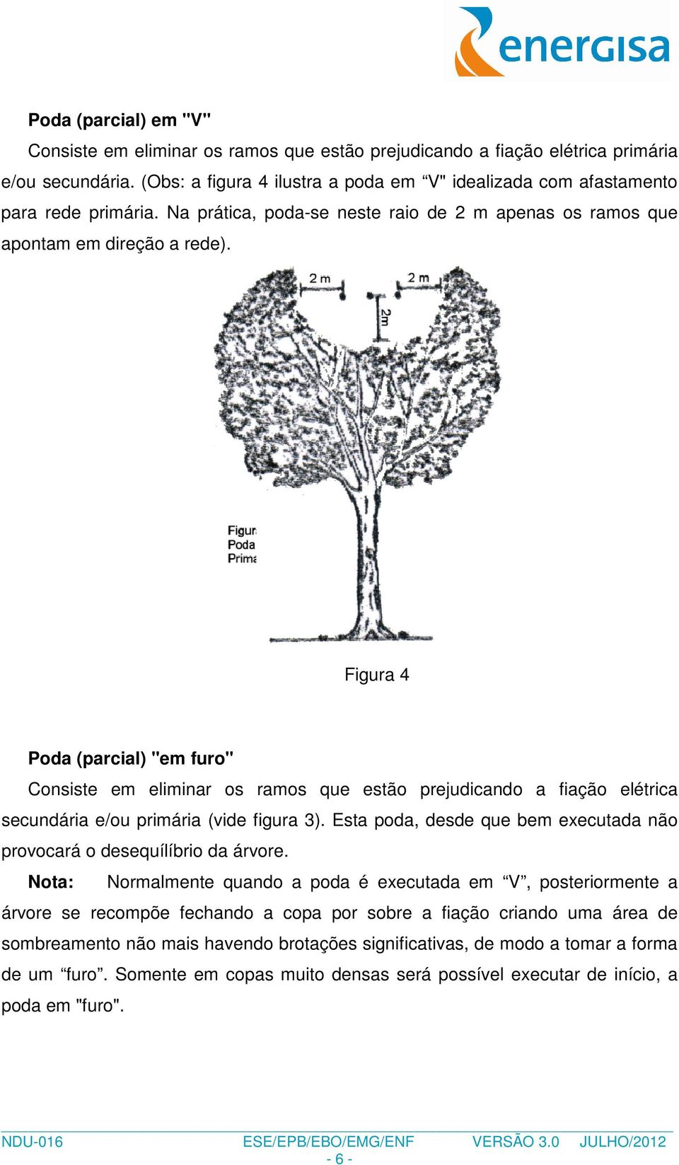 Figura 4 Poda (parcial) "em furo" Consiste em eliminar os ramos que estão prejudicando a fiação elétrica secundária e/ou primária (vide figura 3).