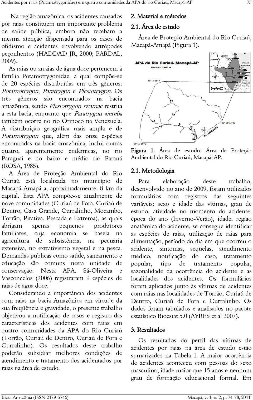 As raias ou arraias de água doce pertencem à família Potamotrygonidae, a qual compõe-se de espécies distribuídas em três gêneros: Potamotrygon, Paratrygon e Plesiotrygon.