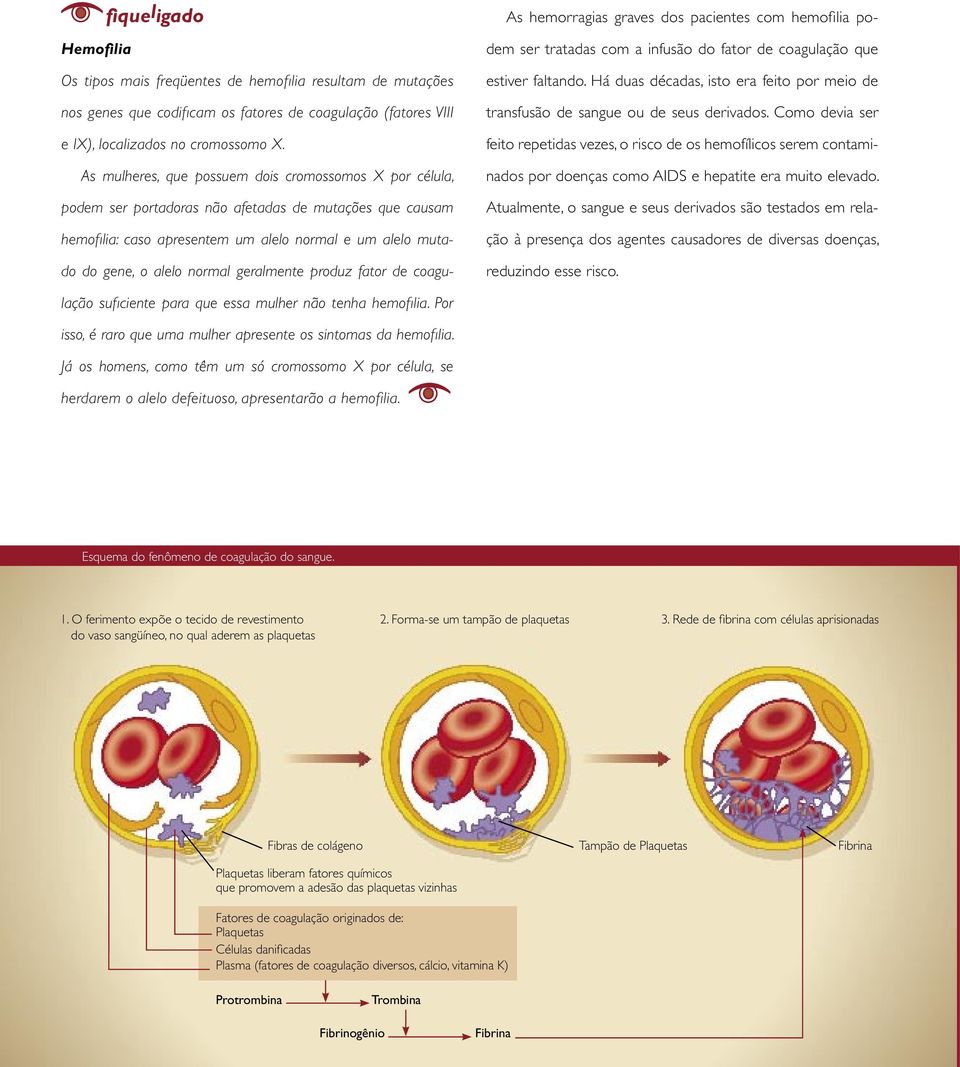 Como devia ser feito repetidas vezes, o risco de os hemofílicos serem contaminados por doenças como AIDS e hepatite era muito elevado.