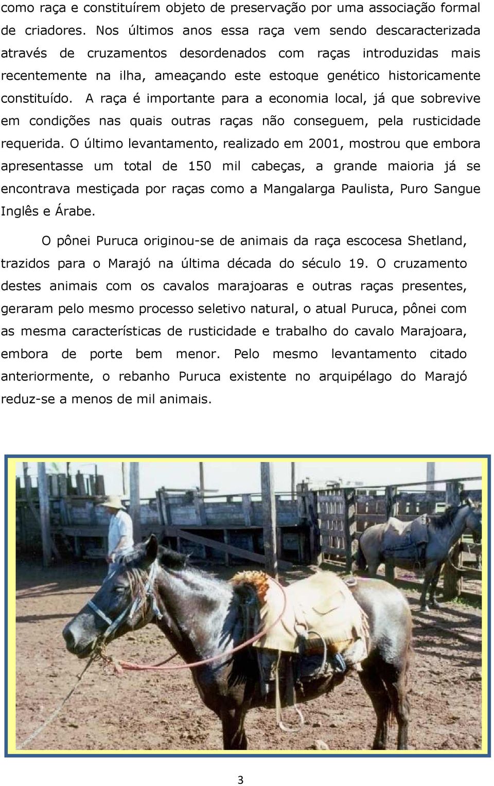 A raça é importante para a economia local, já que sobrevive em condições nas quais outras raças não conseguem, pela rusticidade requerida.