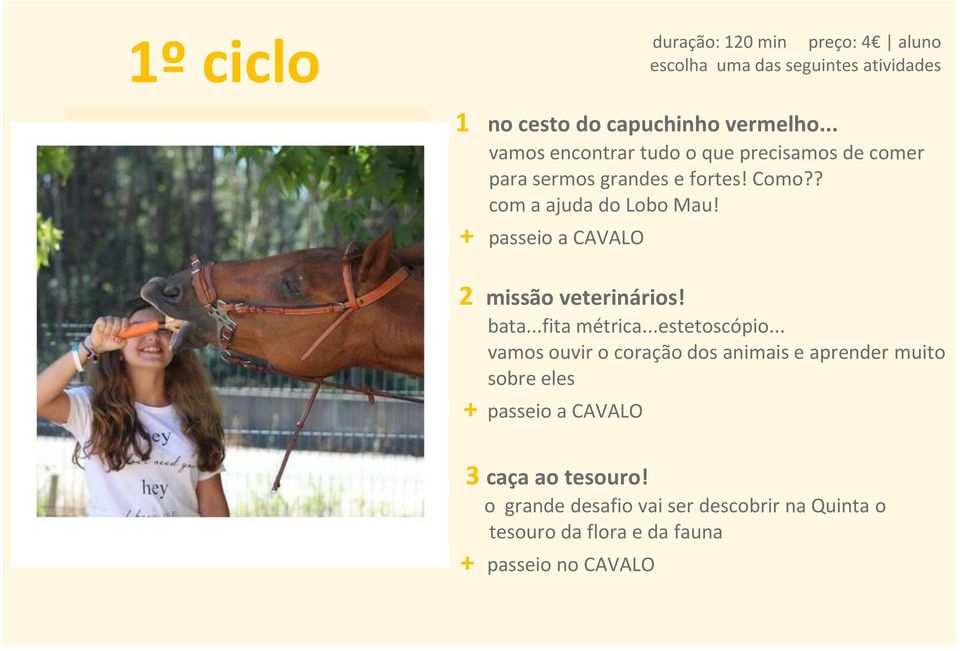 + passeio a CAVALO 2 missão veterinários! bata...fita métrica...estetoscópio.