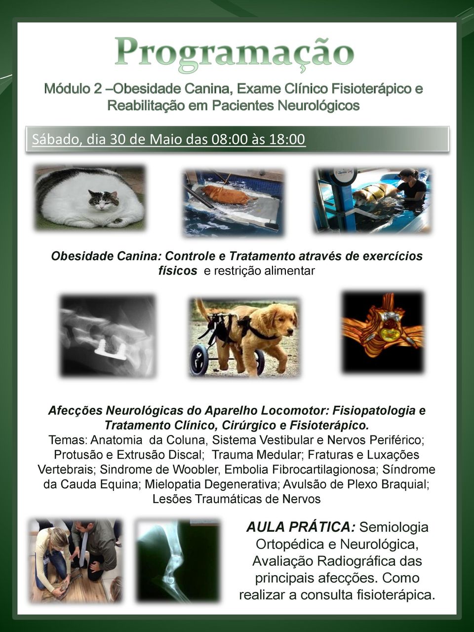 Temas: Anatomia da Coluna, Sistema Vestibular e Nervos Periférico; Protusão e Extrusão Discal; Trauma Medular; Fraturas e Luxações Vertebrais; Sindrome de Woobler, Embolia Fibrocartilagionosa;