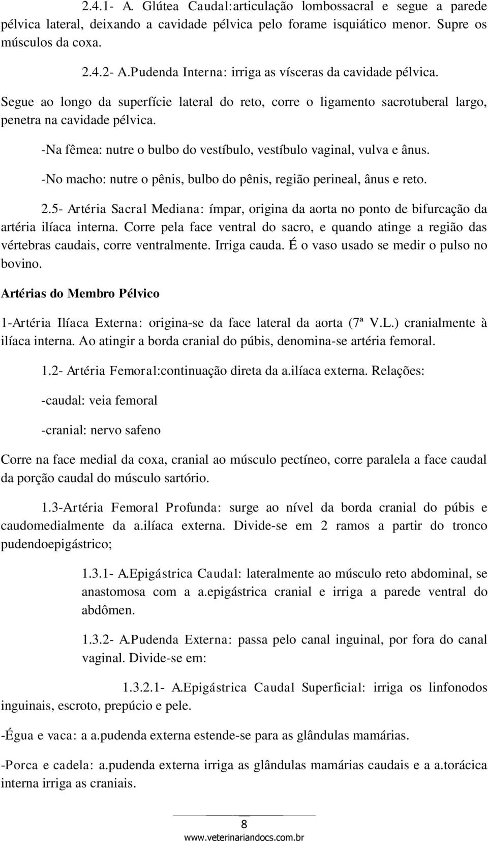 -Na fêmea: nutre o bulbo do vestíbulo, vestíbulo vaginal, vulva e ânus. -No macho: nutre o pênis, bulbo do pênis, região perineal, ânus e reto. 2.