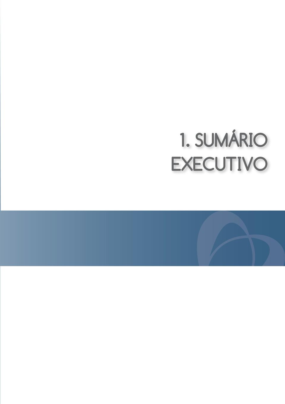 EXECUTIVO