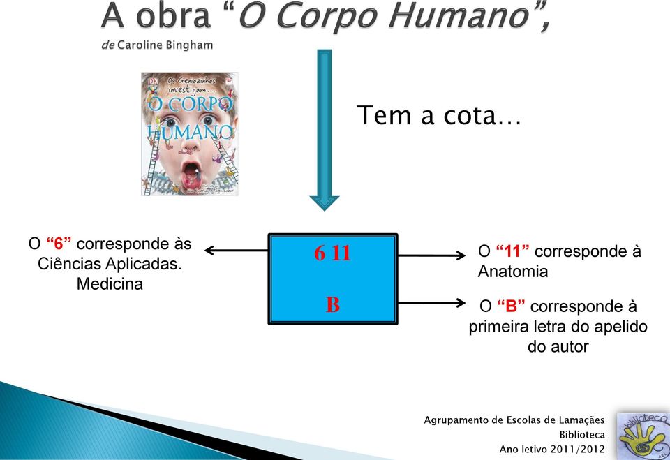 Medicina 6 11 B O 11 corresponde à Anatomia O