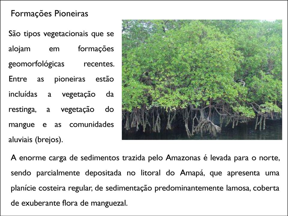 A enorme carga de sedimentos trazida pelo Amazonas é levada para o norte, sendo parcialmente depositada no litoral