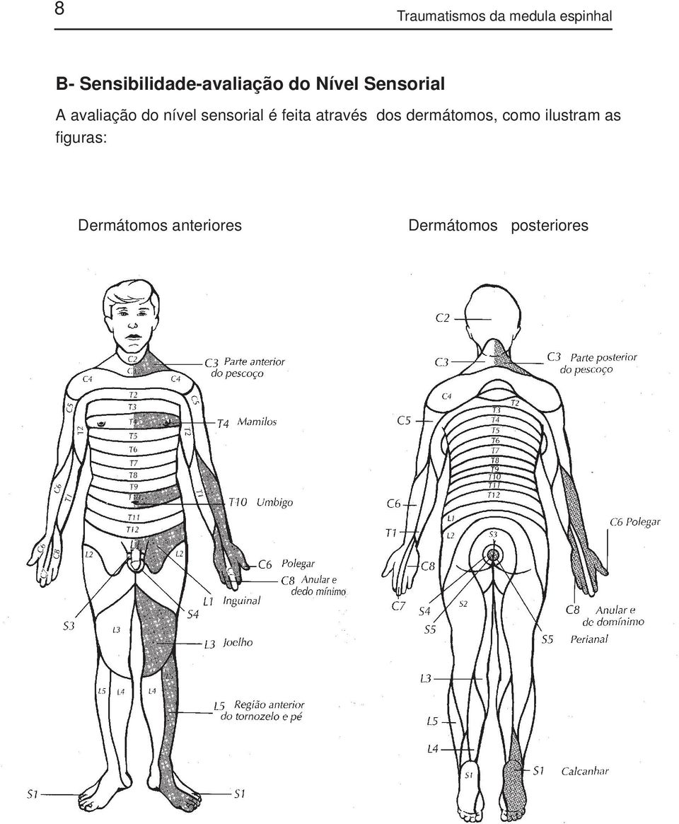 avaliação do nível sensorial é feita através dos