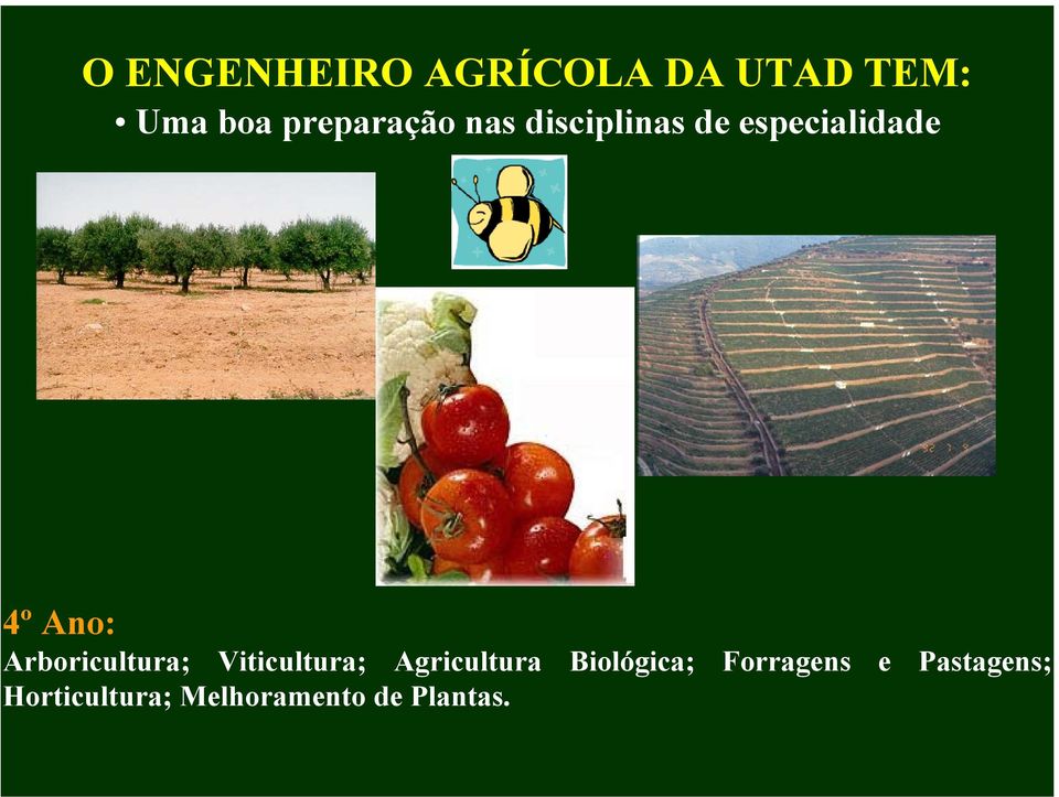 Arboricultura; Viticultura; Agricultura Biológica;
