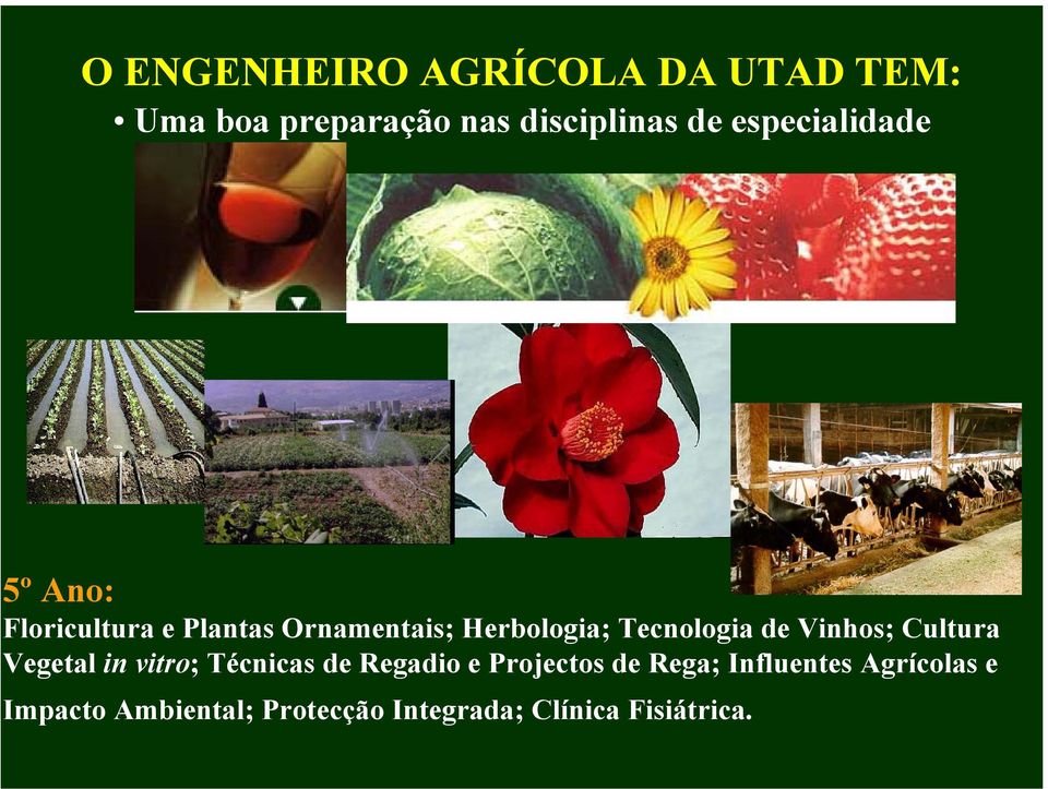 Tecnologia de Vinhos; Cultura Vegetal in vitro; Técnicas de Regadio e