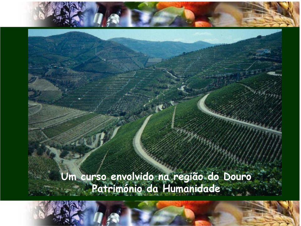 região do Douro