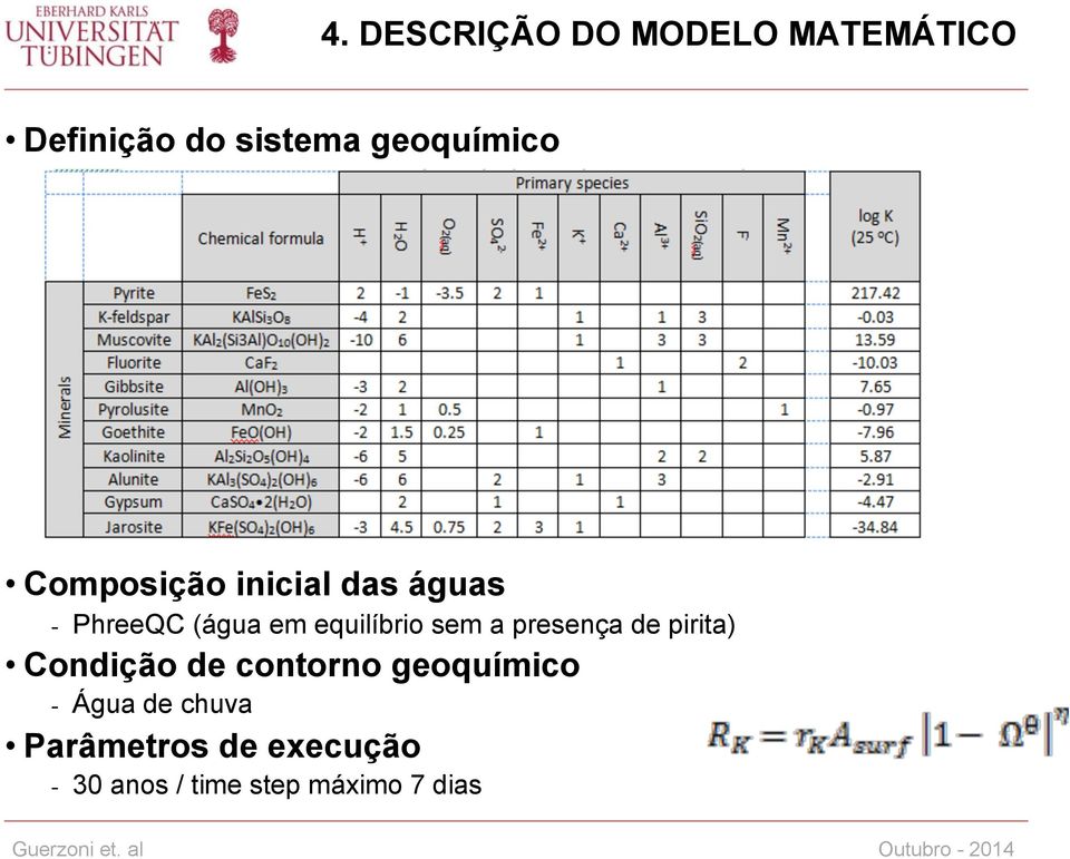 equilíbrio sem a presença de pirita) Condição de contorno