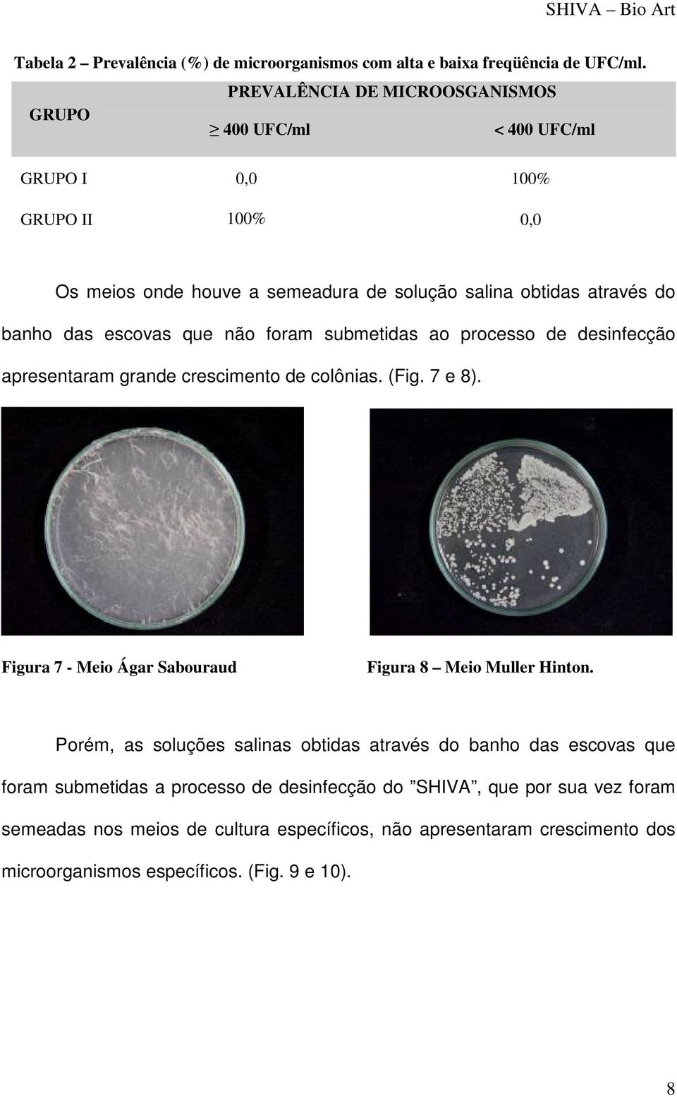 escovas que não foram submetidas ao processo de desinfecção apresentaram grande crescimento de colônias. (Fig. 7 e 8).