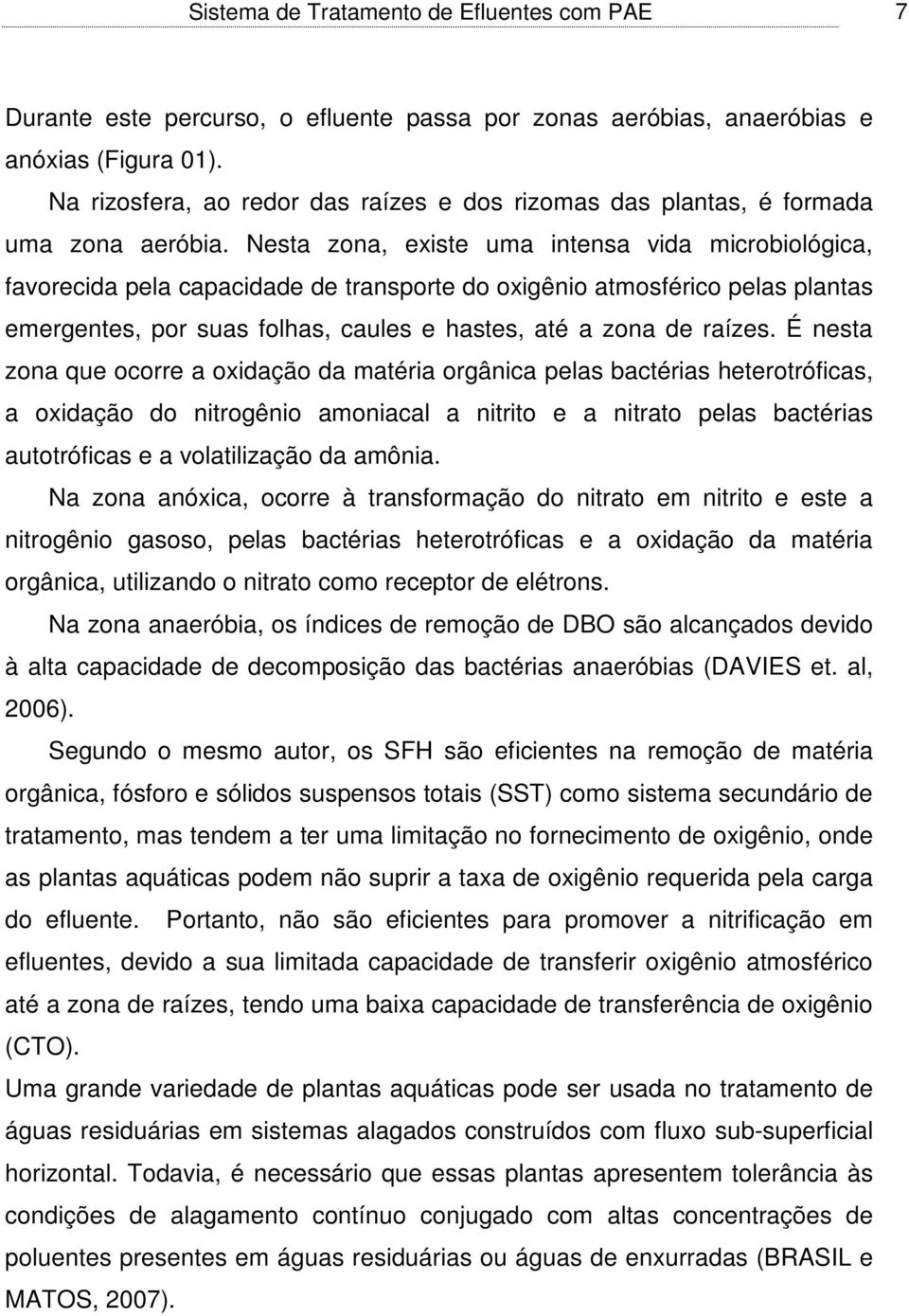 Nesta zona, existe uma intensa vida microbiológica, favorecida pela capacidade de transporte do oxigênio atmosférico pelas plantas emergentes, por suas folhas, caules e hastes, até a zona de raízes.