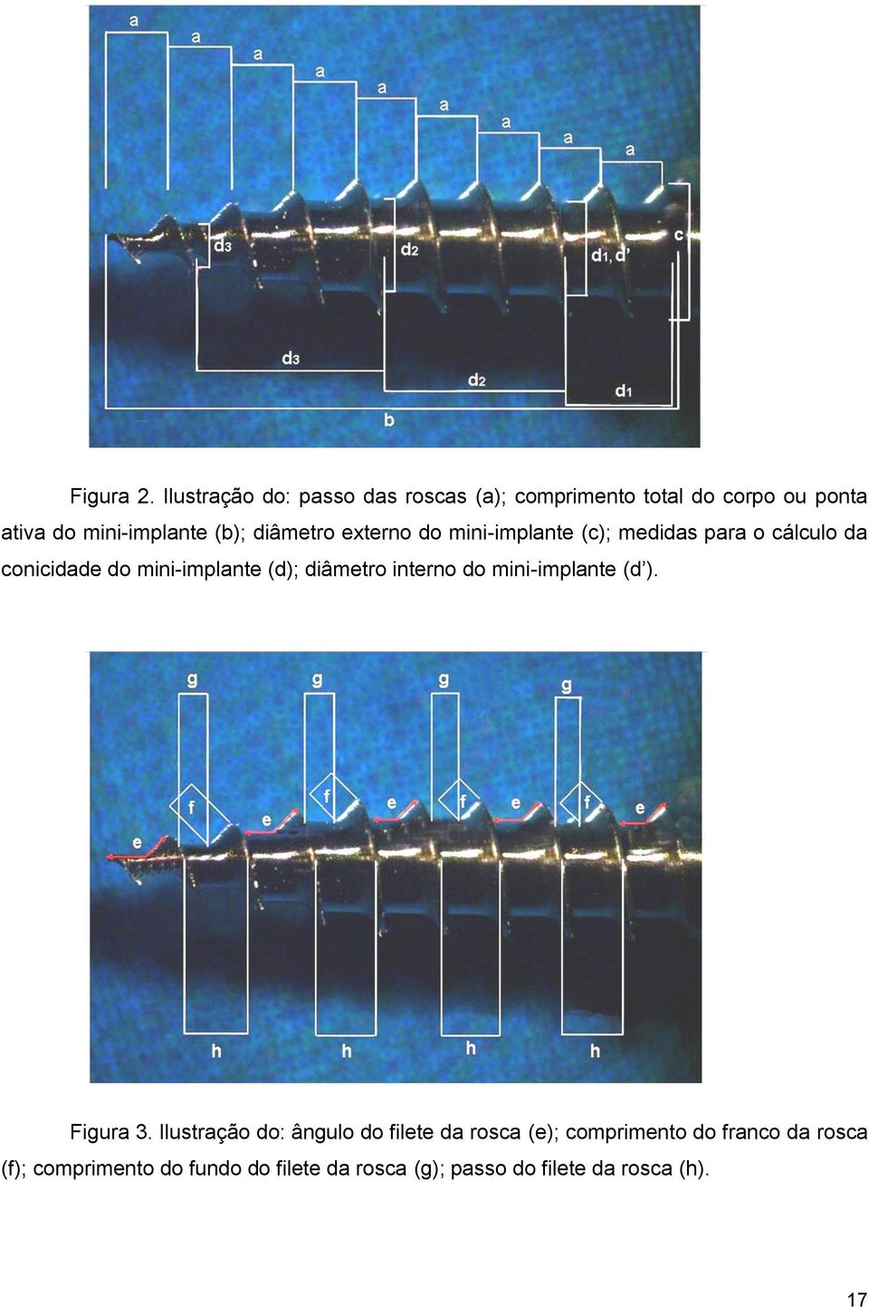 diâmetro externo do mini-implante (c); medidas para o cálculo da conicidade do mini-implante (d);