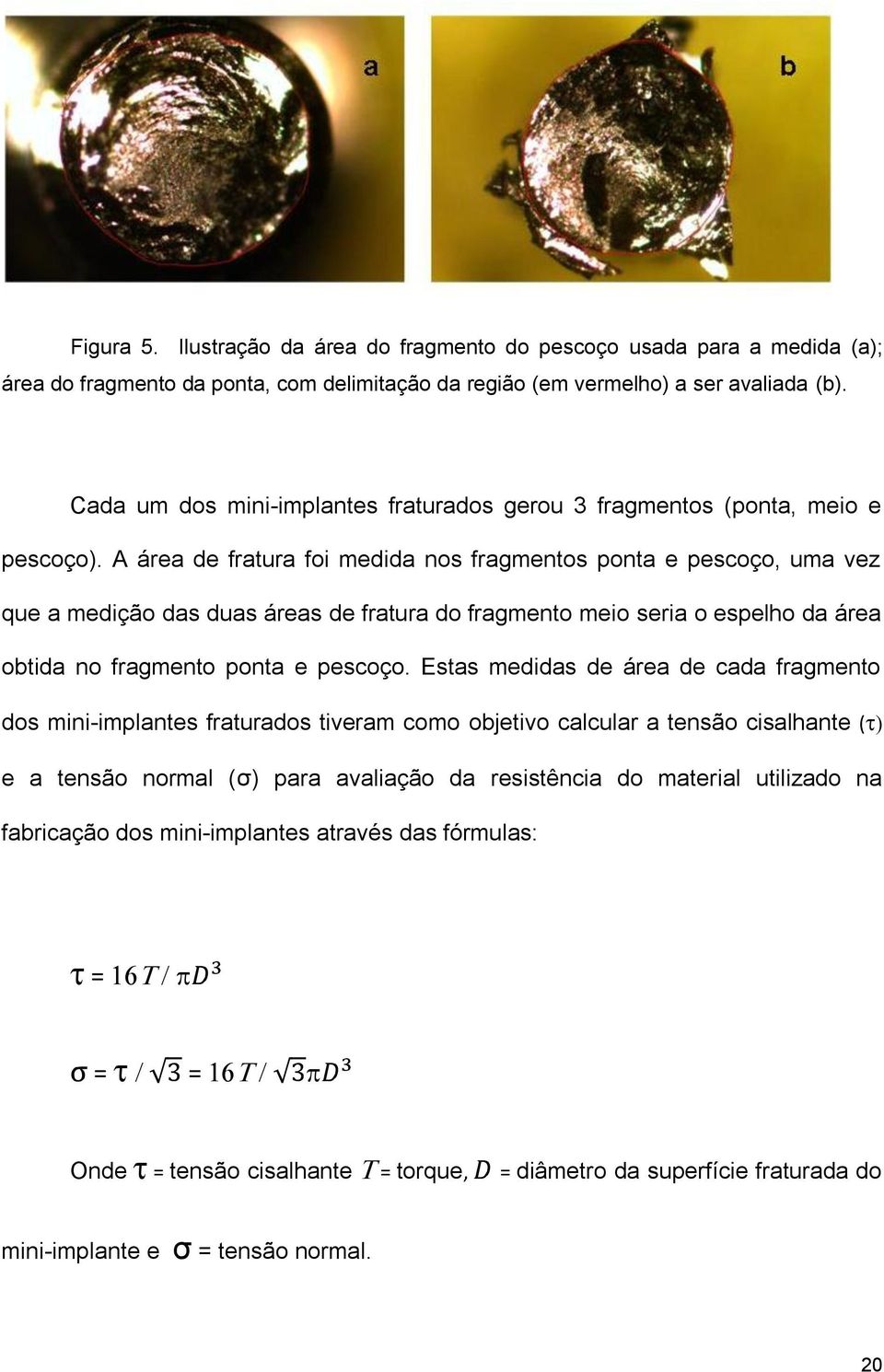 A área de fratura foi medida nos fragmentos ponta e pescoço, uma vez que a medição das duas áreas de fratura do fragmento meio seria o espelho da área obtida no fragmento ponta e pescoço.