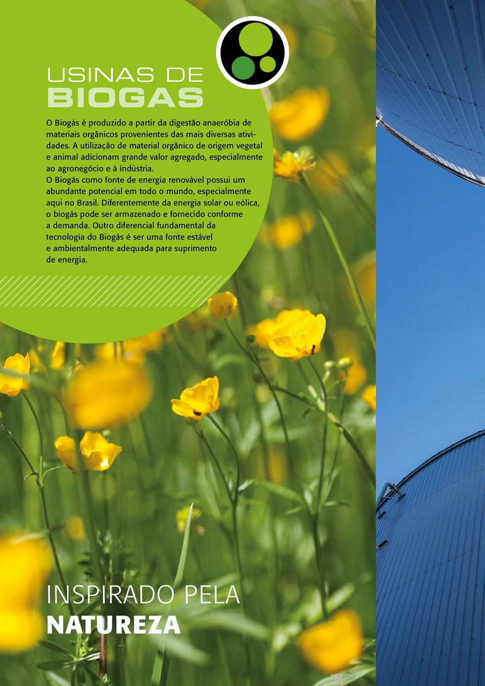 O Biogás como fonte de energia renovável possui um abundante potencial em todo o mundo, especialmente aqui no Brasil.