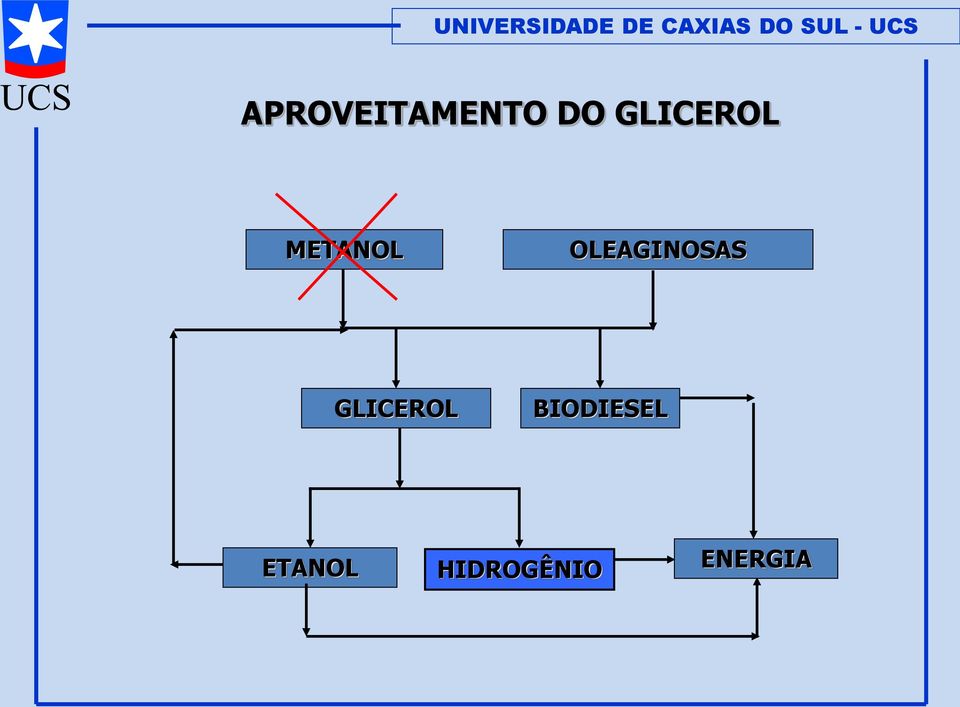 OLEAGINOSAS GLICEROL