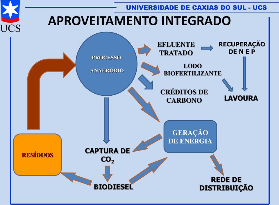 DE N E P CRÉDITOS DE CARBONO LAVOURA RESÍDUOS