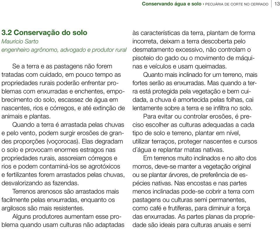 problemas com enxurradas e enchentes, empobrecimento do solo, escassez de água em nascentes, rios e córregos, e até extinção de animais e plantas.