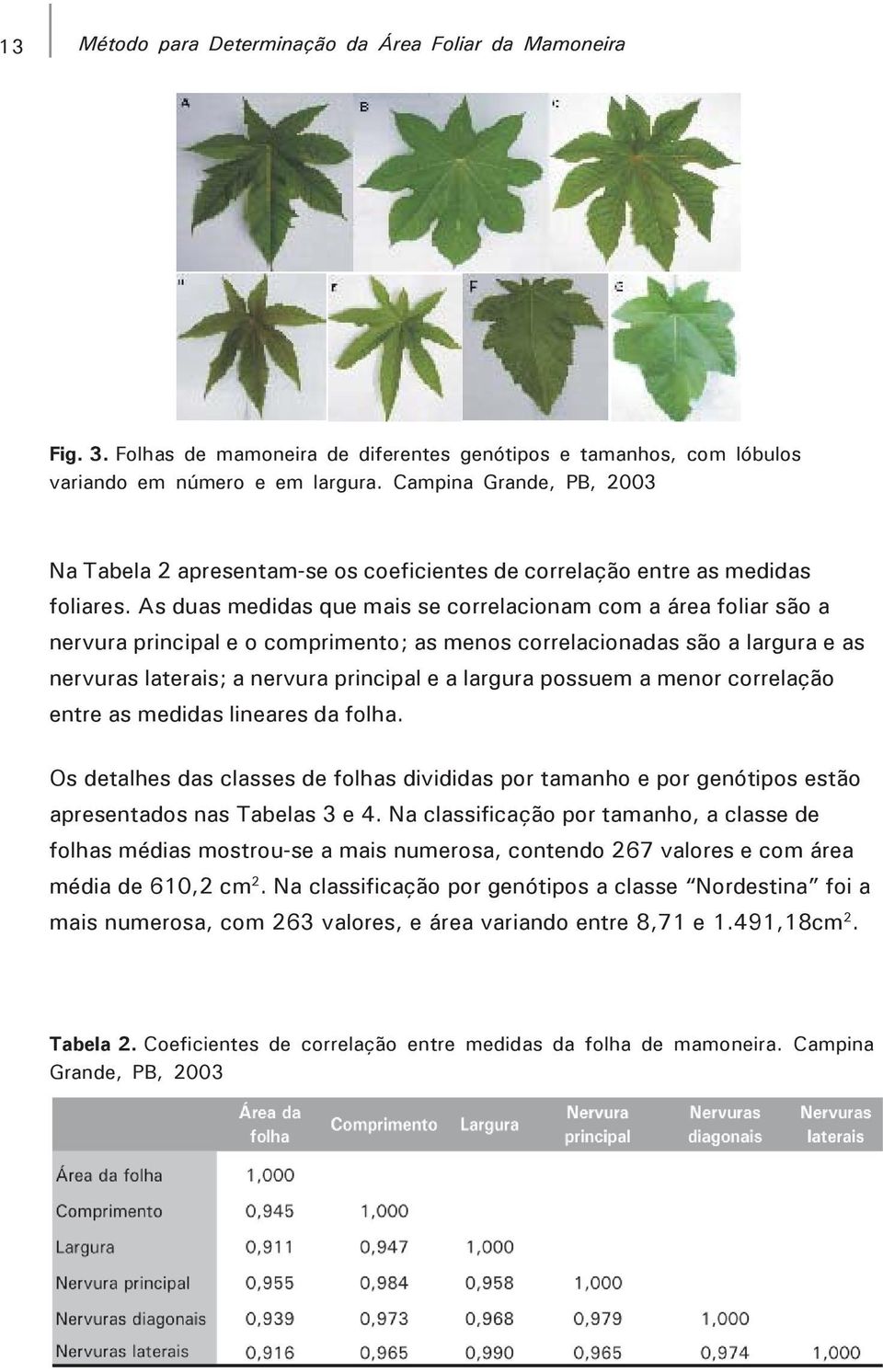 As duas medidas que mais se correlacionam com a área foliar são a nervura principal e o comprimento; as menos correlacionadas são a largura e as nervuras laterais; a nervura principal e a largura