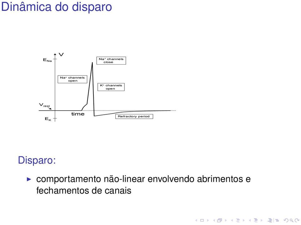 Refractory period Disparo: comportamento