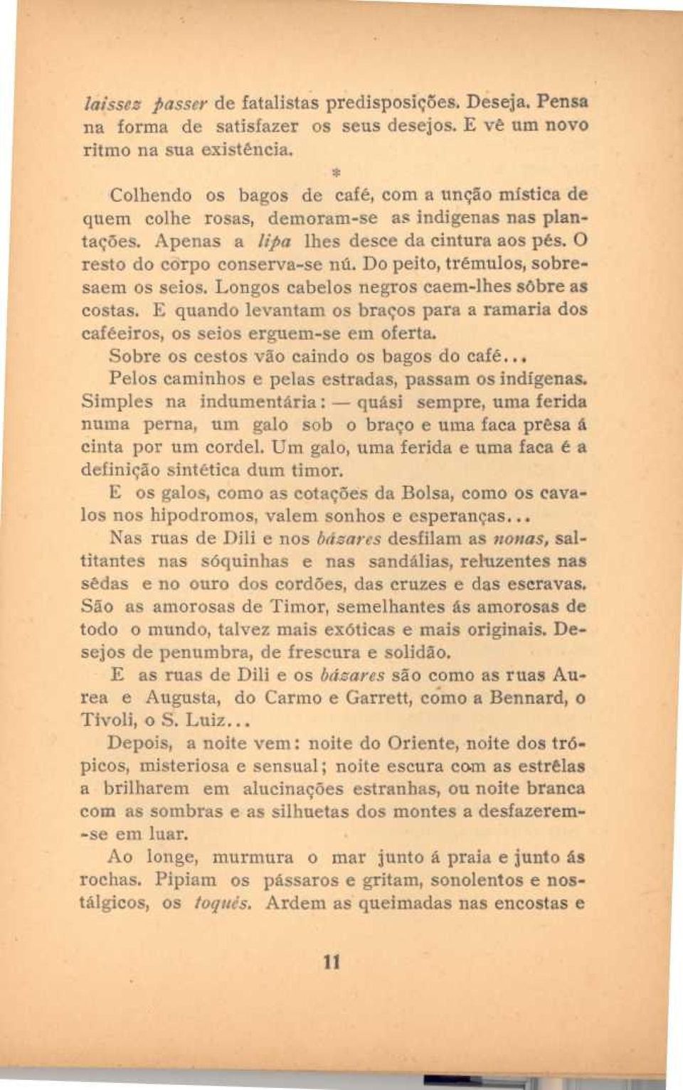 Do peito, trémulos, sobresaem os seios. Longos cabelos negros caem-lhes sôbre as costas. E quando levantam os braços para a ramaria dos caféeiros, os seios erguem-se em oferta.