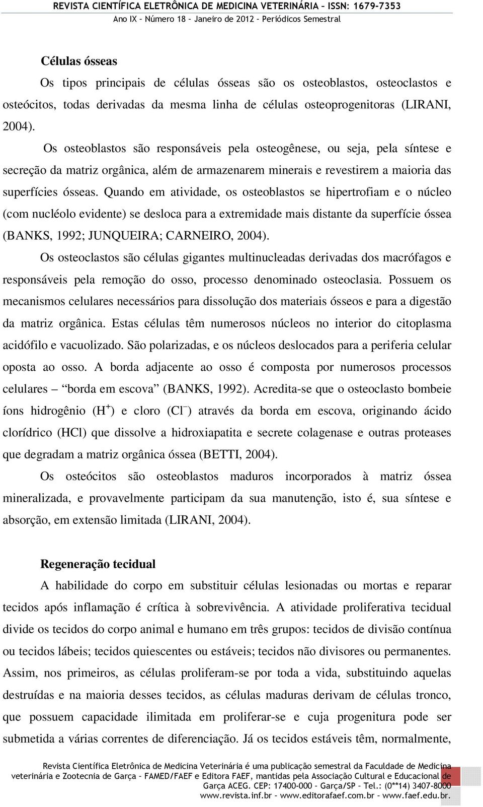 Quando em atividade, os osteoblastos se hipertrofiam e o núcleo (com nucléolo evidente) se desloca para a extremidade mais distante da superfície óssea (BANKS, 1992; JUNQUEIRA; CARNEIRO, 2004).