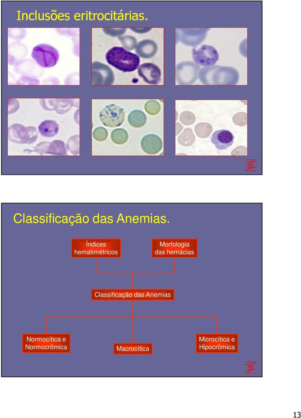 Índices hematimétricos Morfologia das hemácias