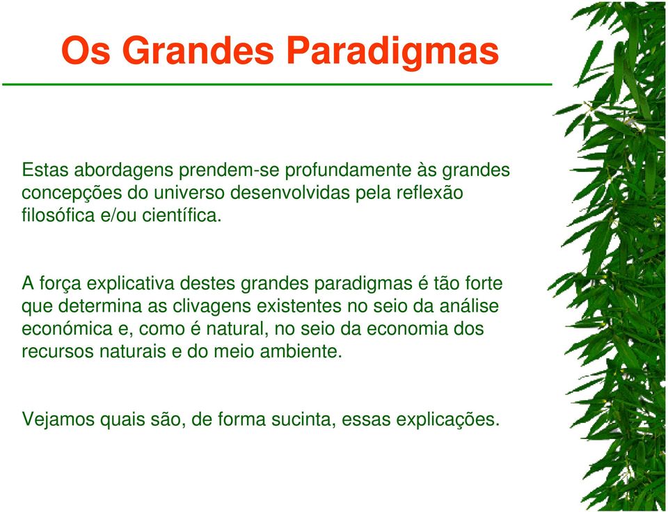 A força explicativa destes grandes paradigmas é tão forte que determina as clivagens existentes no seio