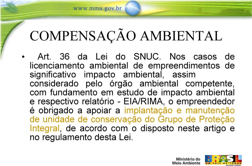 pelo órgão ambiental competente, com fundamento em estudo de impacto ambiental e respectivo relatório - EIA/RIMA,