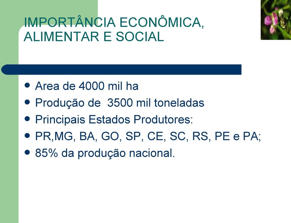 Principais Estados Produtores: PR,MG, BA, GO,