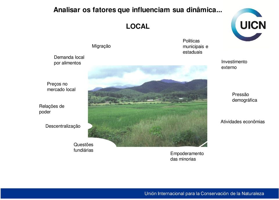 estaduais Investimento externo Preços no mercado local Relações de poder