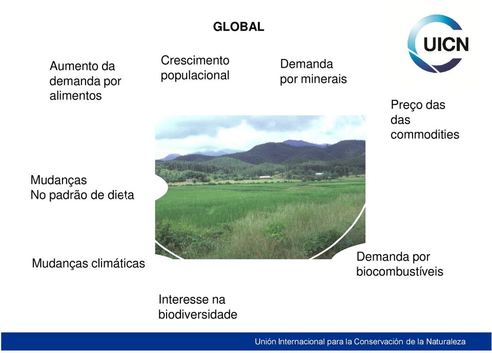 commodities Mudanças No padrão de dieta Mudanças