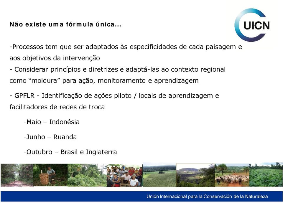 - Considerar princípios e diretrizes e adaptá-las ao contexto regional como moldura para ação,