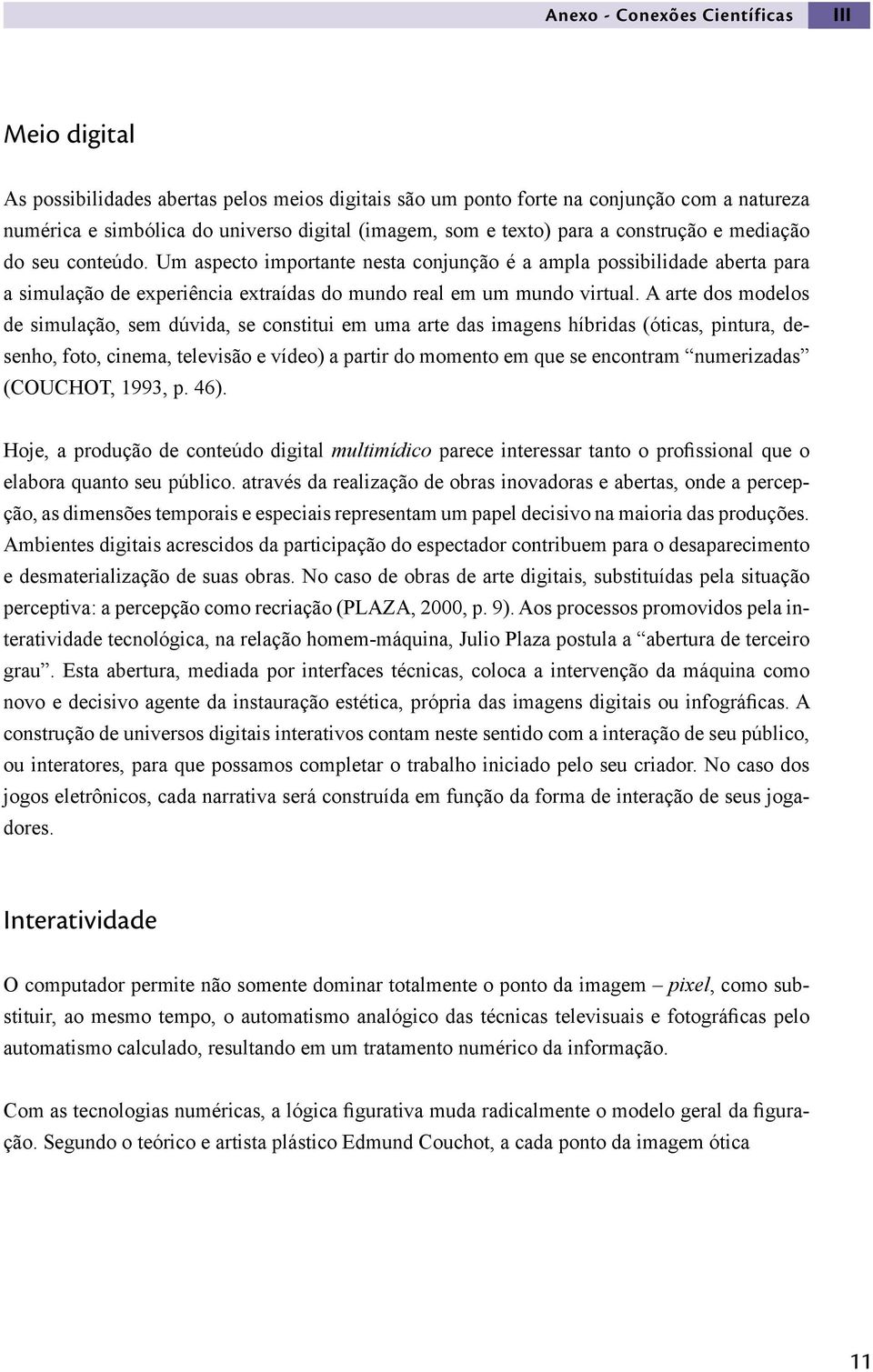 A arte dos modelos de simulação, sem dúvida, se constitui em uma arte das imagens híbridas (óticas, pintura, desenho, foto, cinema, televisão e vídeo) a partir do momento em que se encontram