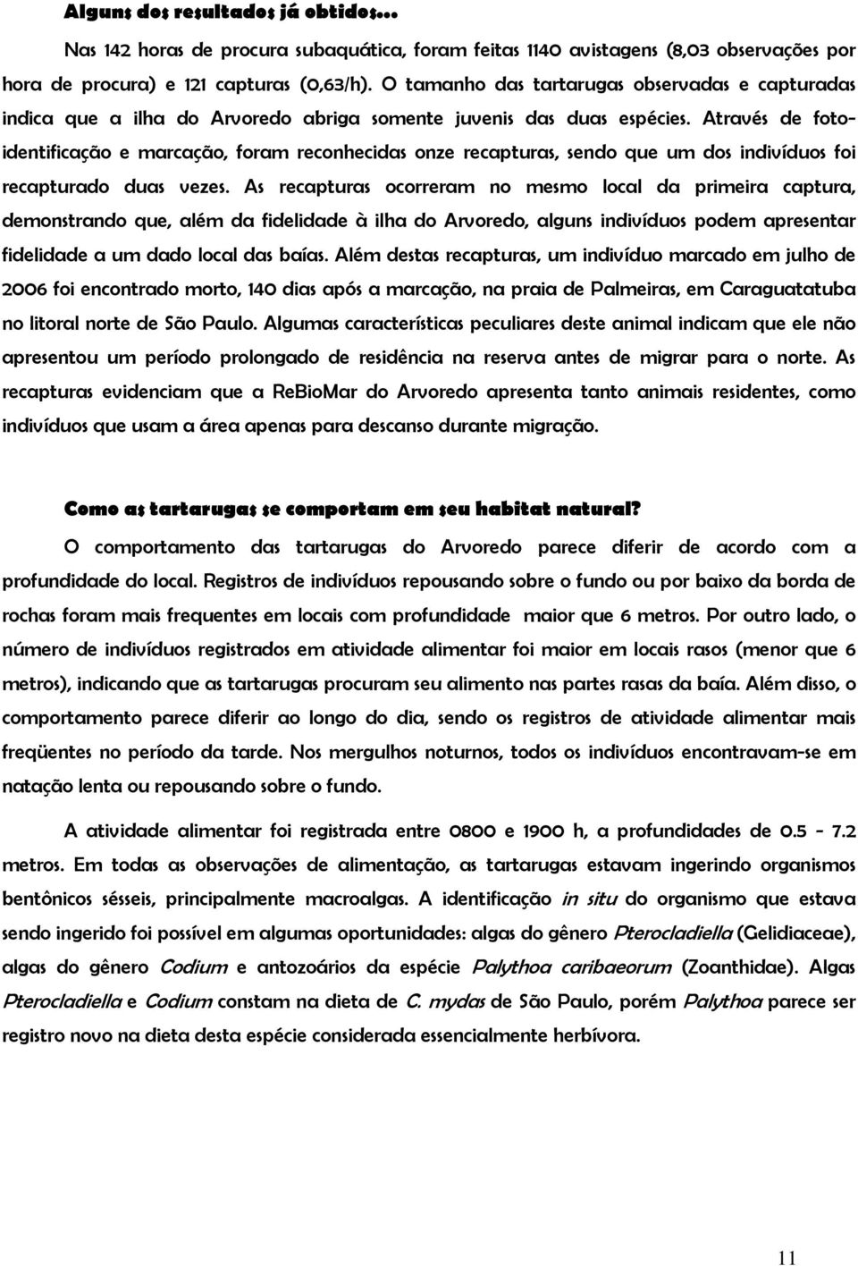 Através de fotoidentificação e marcação, foram reconhecidas onze recapturas, sendo que um dos indivíduos foi recapturado duas vezes.