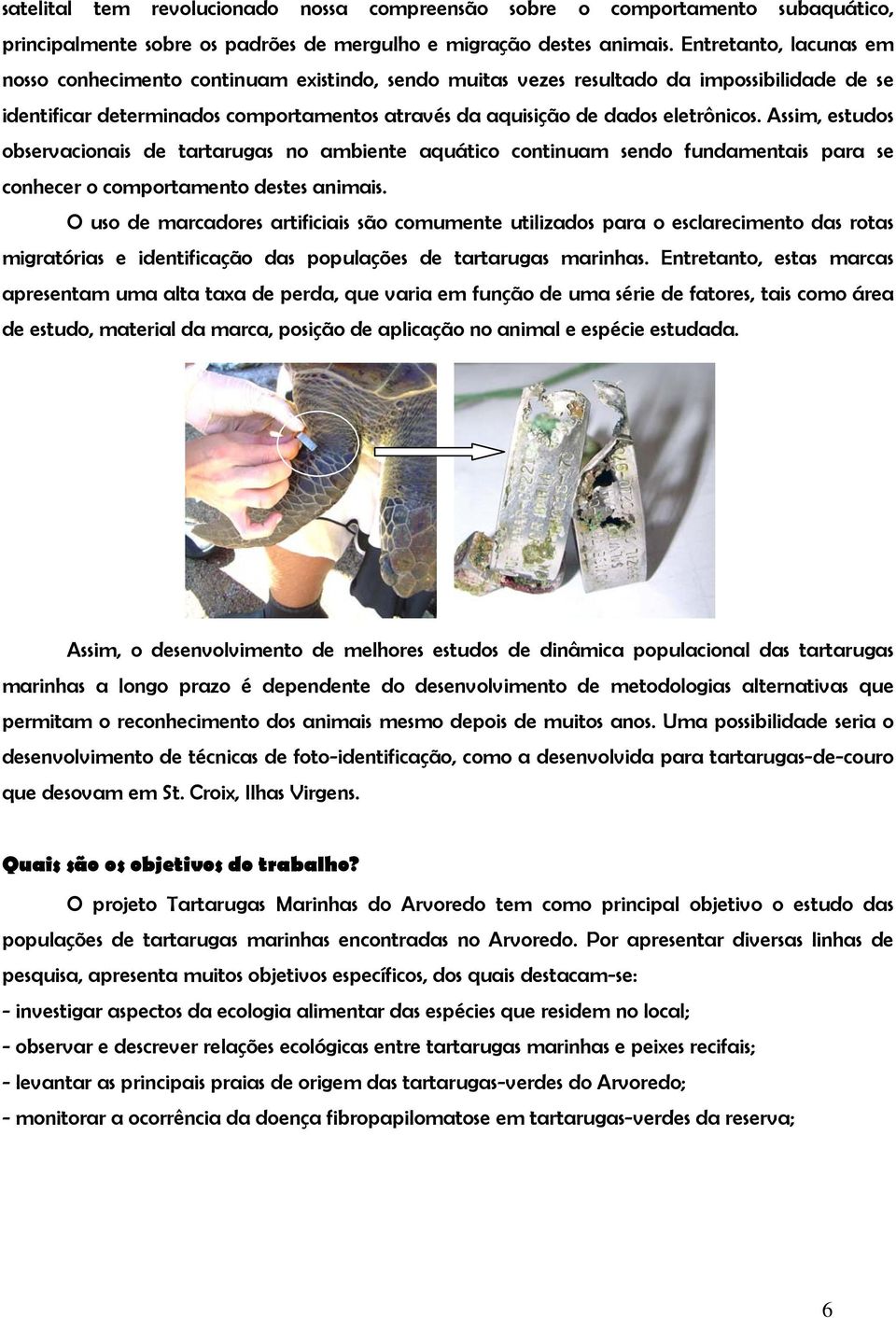 Assim, estudos observacionais de tartarugas no ambiente aquático continuam sendo fundamentais para se conhecer o comportamento destes animais.