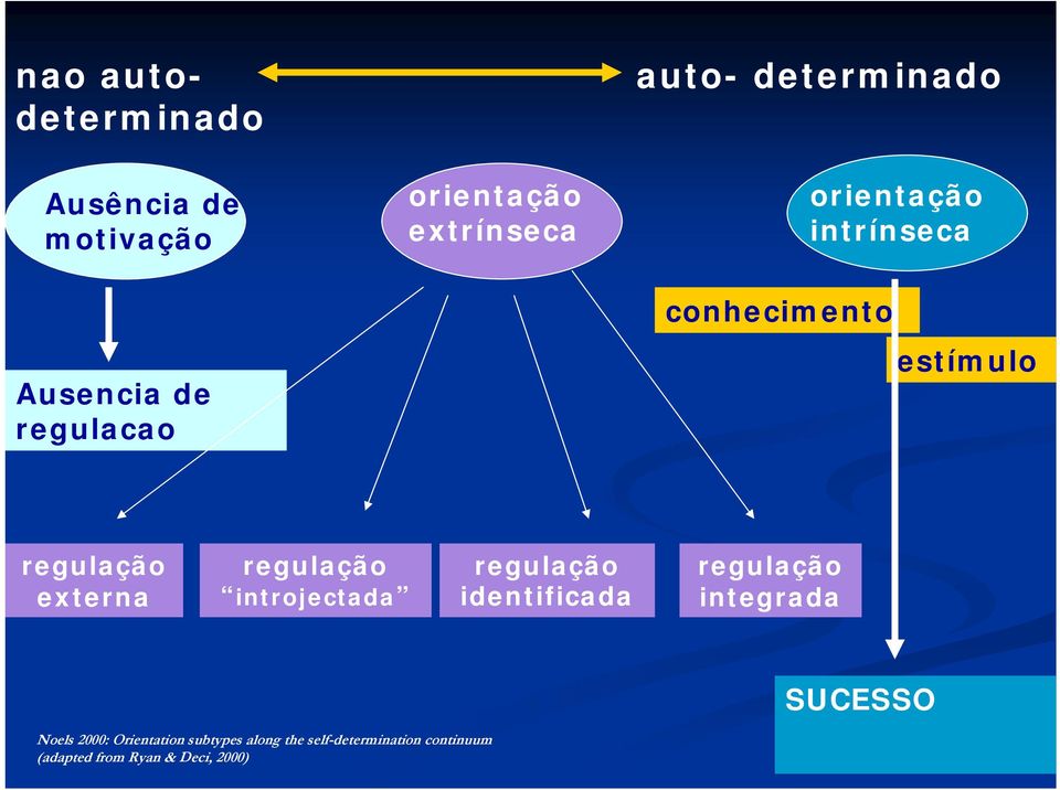 regulação introjectada regulação identificada regulação integrada SUCESSO Noels 2000: