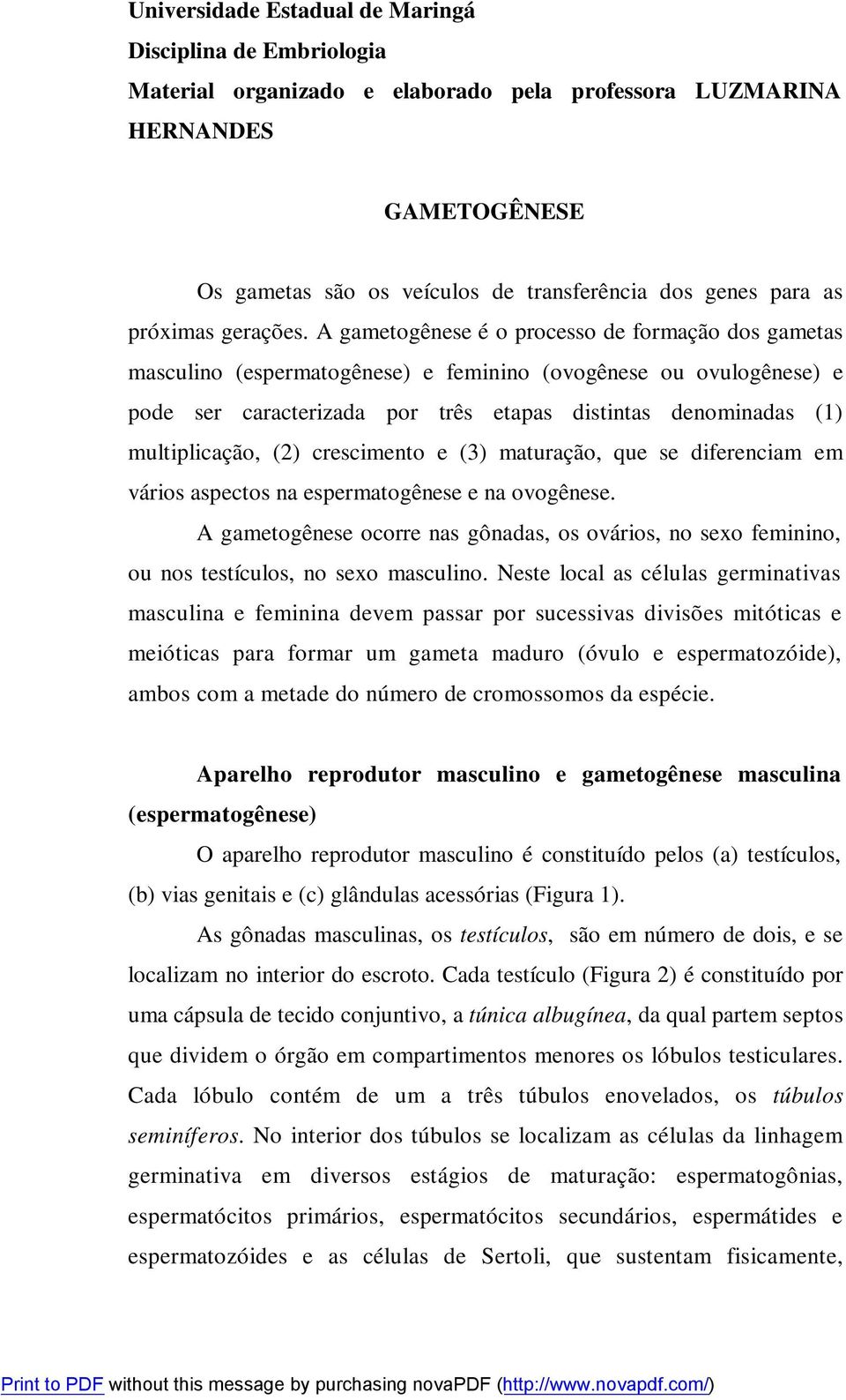 A gametogênese é o processo de formação dos gametas masculino (espermatogênese) e feminino (ovogênese ou ovulogênese) e pode ser caracterizada por três etapas distintas denominadas (1) multiplicação,