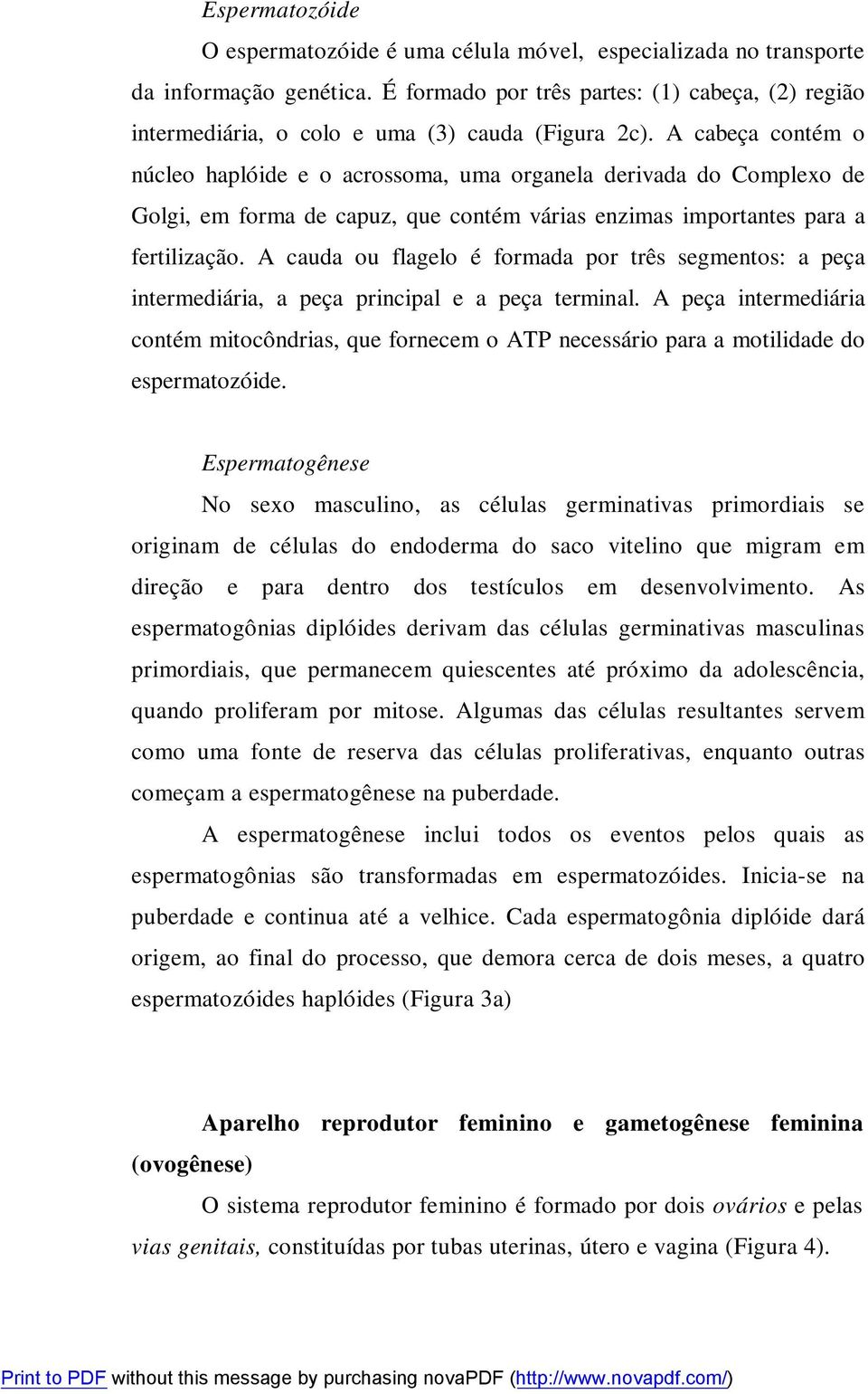 A cabeça contém o núcleo haplóide e o acrossoma, uma organela derivada do Complexo de Golgi, em forma de capuz, que contém várias enzimas importantes para a fertilização.