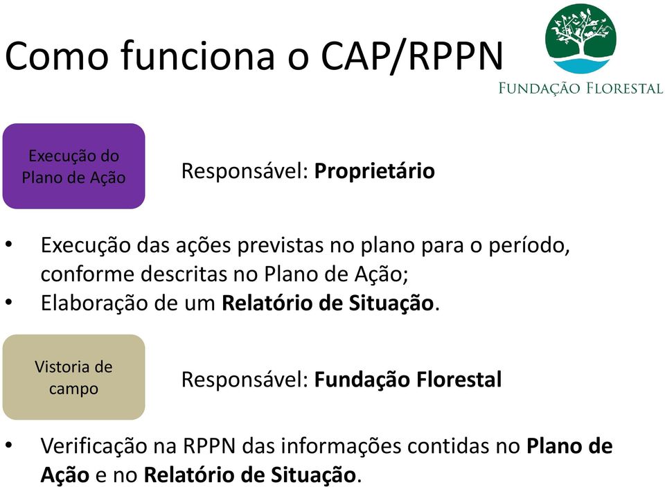 Elaboração de um Relatório de Situação.