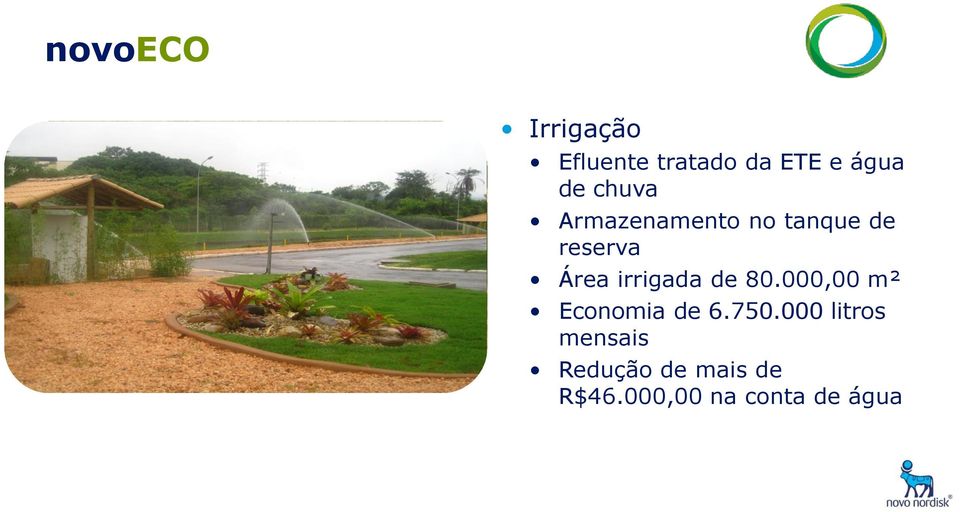 irrigada de 80.000,00 m² Economia de 6.750.