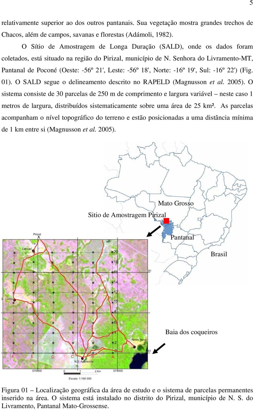 Senhora do Livramento-MT, Pantanal de Poconé (Oeste: -56º 21', Leste: -56º 18', Norte: -16º 19', Sul: -16º 22') (Fig. 01). O SALD segue o delineamento descrito no RAPELD (Magnusson et al. 2005).