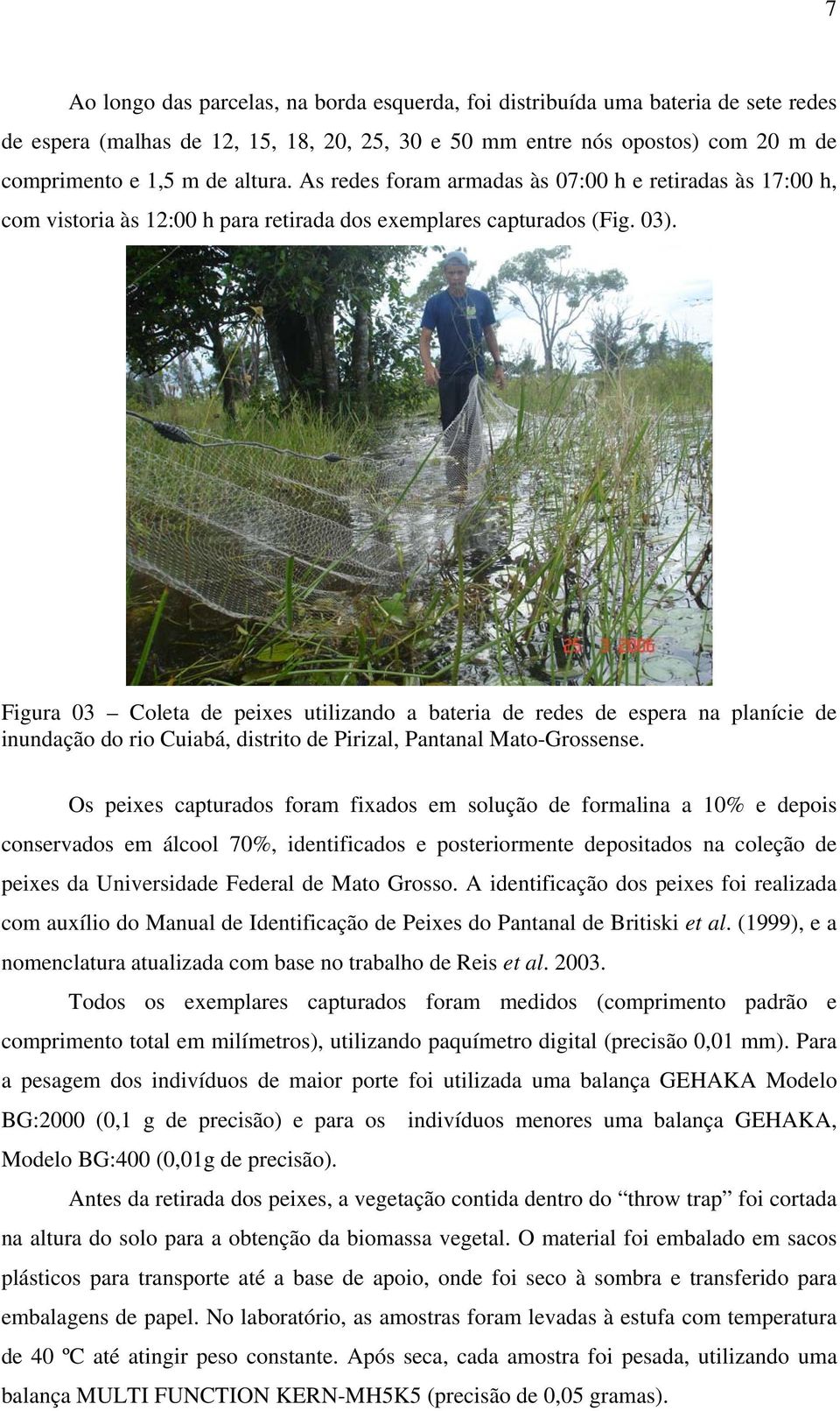 Figura 03 Coleta de peixes utilizando a bateria de redes de espera na planície de inundação do rio Cuiabá, distrito de Pirizal, Pantanal Mato-Grossense.