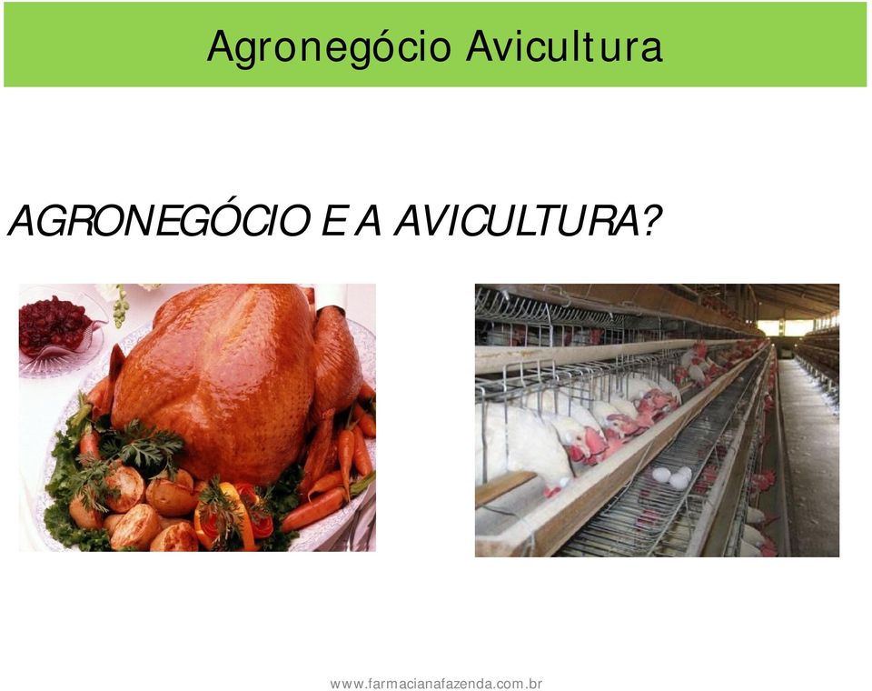 AGRONEGÓCIO E A